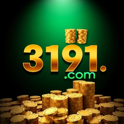 3191.com
